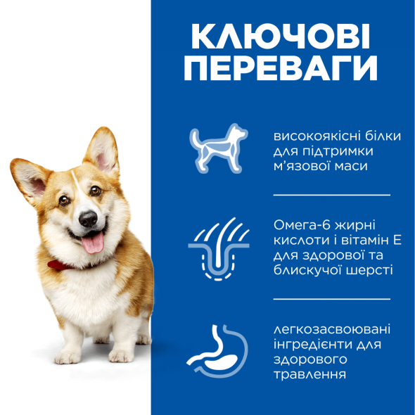 Hill’s Science Plan Adult Small&amp;Mini Сухий корм для дорослих собак малих і мініатюрних порід з ягням і рисом 1,5 кг - 1