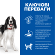 Hill’s Science Plan Adult Medium Breed Сухий корм для дорослих собак середніх порід з куркою 2,5 кг - 1