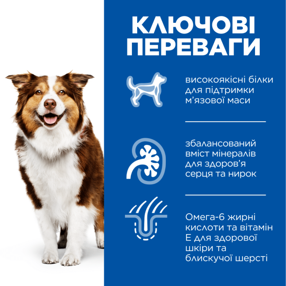 Hill’s Science Plan Mature Adult 7+ Medium Сухий корм для зрілих собак середніх порід від 7 років з ягням і рисом 2,5 кг - 1