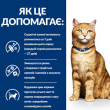Hill's Prescription Diet Multicare c/d Urinary Care Вологий корм для котів для здоров'я сечовивідних шляхів з куркою 85 г - 2