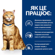 Hill's Prescription Diet Multicare c/d Urinary Care Вологий корм для котів для здоров'я сечовивідних шляхів з куркою 85 г - 3