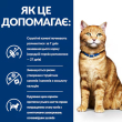 Hill's Prescription Diet Multicare c/d Urinary Care Вологий корм для котів для здоров'я сечовивідних шляхів з лососем 85 г - 2