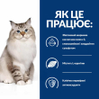 Hill's Prescription Diet j/d Mobility Сухий лікувальний корм для котів з куркою, зниження болю та запалення в суглобах 1,5 кг - 3
