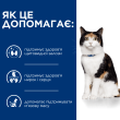 Hill's Prescription Diet y/d Thyroid Care Сухий лікувальний корм для котів для підтримки здоров’я щитоподібної залози при гіпертиреозі 3 кг - 3