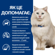 Hill's Prescription Diet c/d Multicare Stress Urinary Сухий лікувальний корм з куркою для кішок при стресових захворюваннях сечовидільної системи 400 г - 2