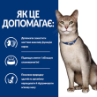 Hill's Prescription Diet k/d Kidney Care Chicken Сухий лікувальний корм з куркою для котів із захворюваннями нирок 300 г - 2