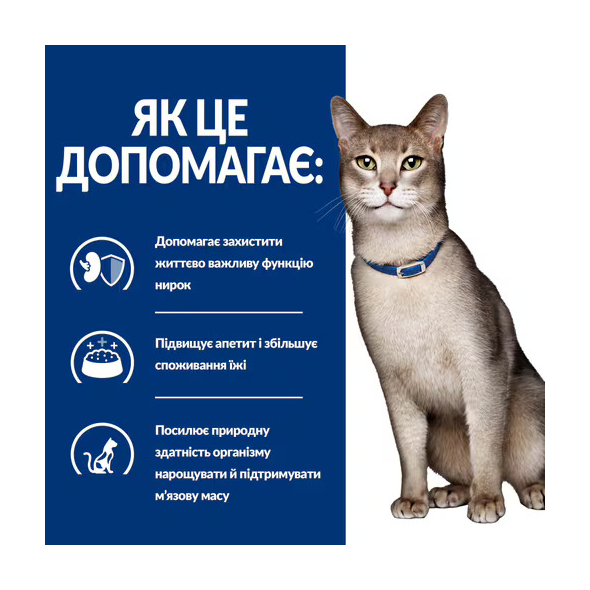 Hill's Prescription Diet k/d Kidney Care Chicken Сухий лікувальний корм з куркою для котів із захворюваннями нирок 300 г - 2