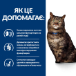 Hill's Prescription Diet k/d Kidney Care Early Stage Сухий лікувальний корм з куркою для котів для підтримання функції нирок на ранній стадії захворювання 1,5 кг - 3