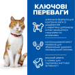 Hill’s Science Plan Adult Sterilised Cat Salmon Сухий корм для дорослих стерилізованих котів з лососем 300 г - 1