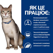 Hill's Prescription Diet k/d Kidney Care Chicken Сухий лікувальний корм з куркою для котів із захворюваннями нирок 8 кг - 3