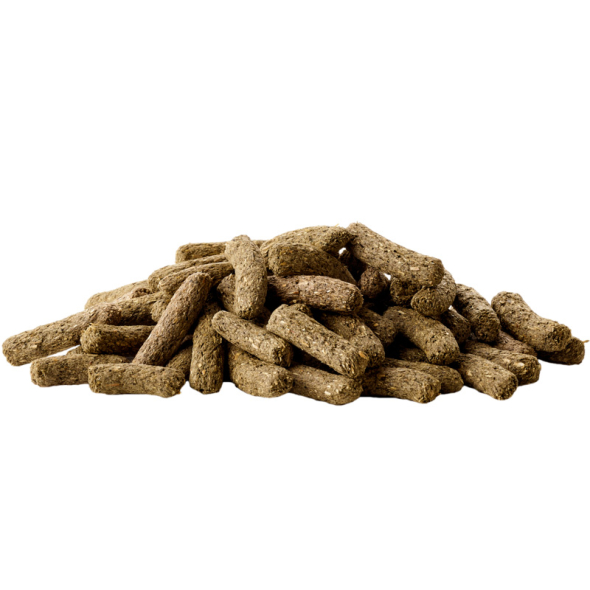 Versele-Laga Complete Chinchilla &amp; Degu корм для шиншил і дегу, 500 г - 1