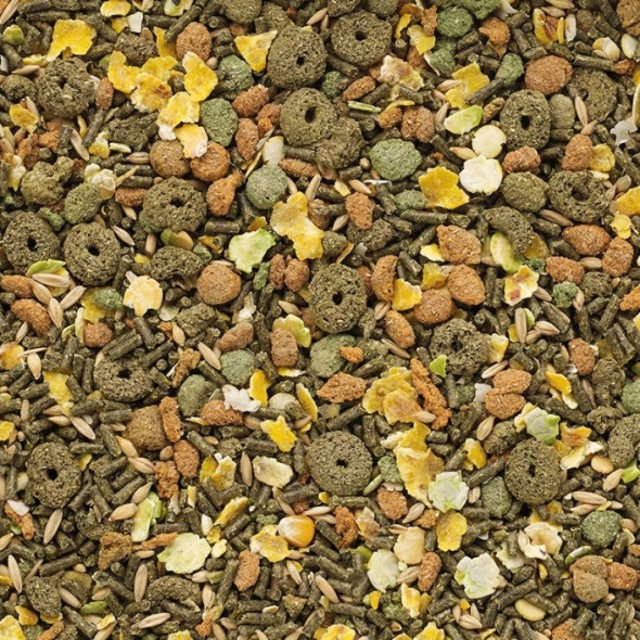 Versele-Laga Classic Cavia корм для гризунів, морських свинок, 500 г - 1