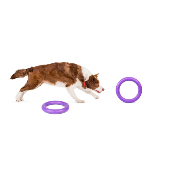 Puller Midi Тренувальний снаряд для середніх порід собак d=19,5 см, 2 шт - 3