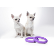 Puller Micro Тренувальний снаряд для собак карликових порід d=12,5 см, 2 шт - 3