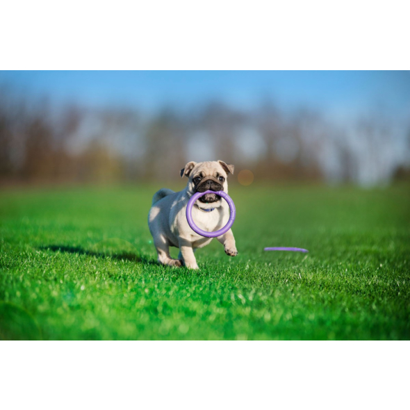 Puller Micro Тренувальний снаряд для собак карликових порід d=12,5 см, 2 шт - 4