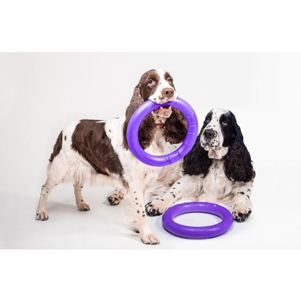 Puller Standard Тренувальний снаряд для середніх і великих порід собак d=28 см, 2 шт - 2