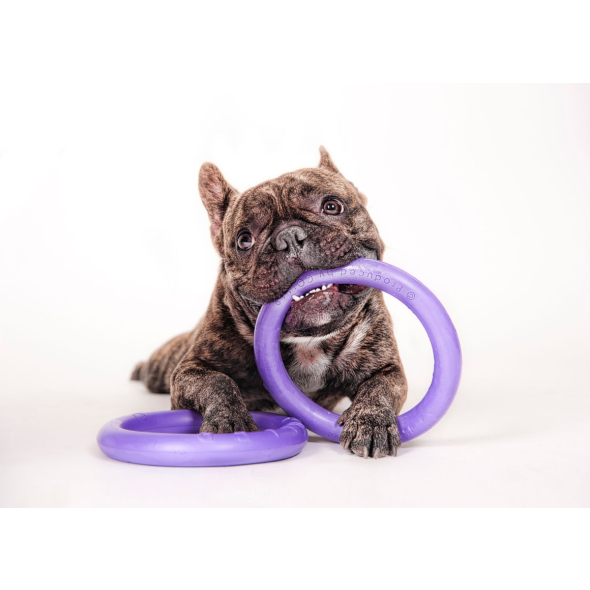 Puller Mini Тренувальний снаряд для дрібних порід собак d=18 см, 2 шт - 2