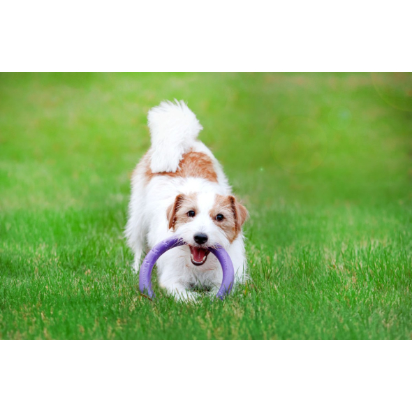 Puller Mini Тренувальний снаряд для дрібних порід собак d=18 см, 2 шт - 3