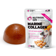 LK Baits Pet Nutrigel Marine Collagen S-M Функціональні ласощі для собак для суглобів з морським колагеном (Ø 15 мм), 100 г