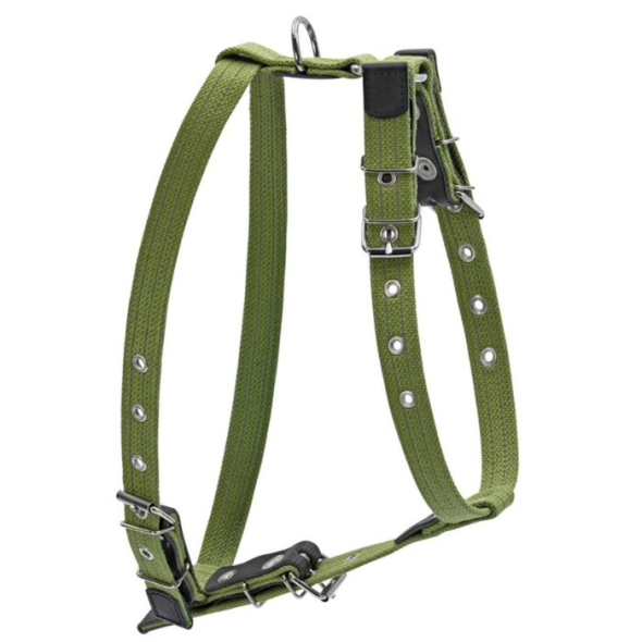 Collar Шлея для собак бавовняна тасьма брезент, S, зелена