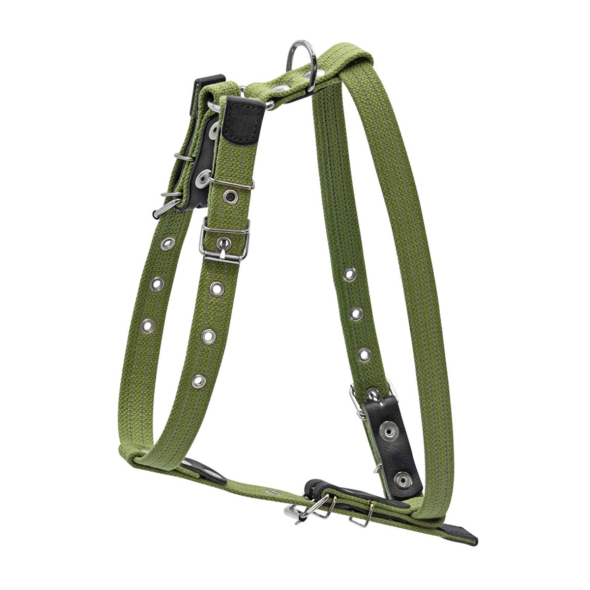Collar Шлея для собак бавовняна тасьма брезент, M, зелена - 1