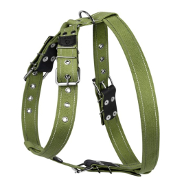 Collar Шлея для собак хлопчатобумажная тесьма брезент, L, зеленая