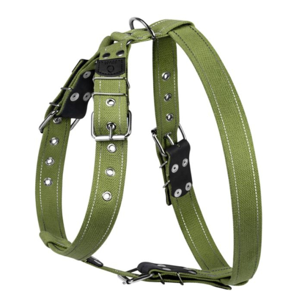 Collar Шлея для собак бавовняна тасьма брезент, L, зелена