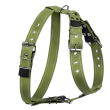Collar Шлея для собак бавовняна тасьма брезент, L, зелена - 1