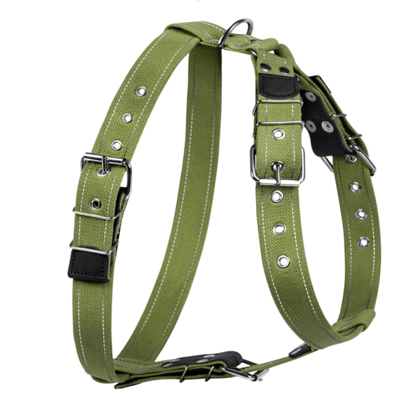 Collar Шлея для собак бавовняна тасьма брезент, L, зелена - 1