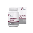 Vet Expert Hepatiale Forte Large Breed (Гепатіале форте) Нутрицевтична добавка для підтримки та захисту функцій печінки у собак великих порід, 40 таблеток