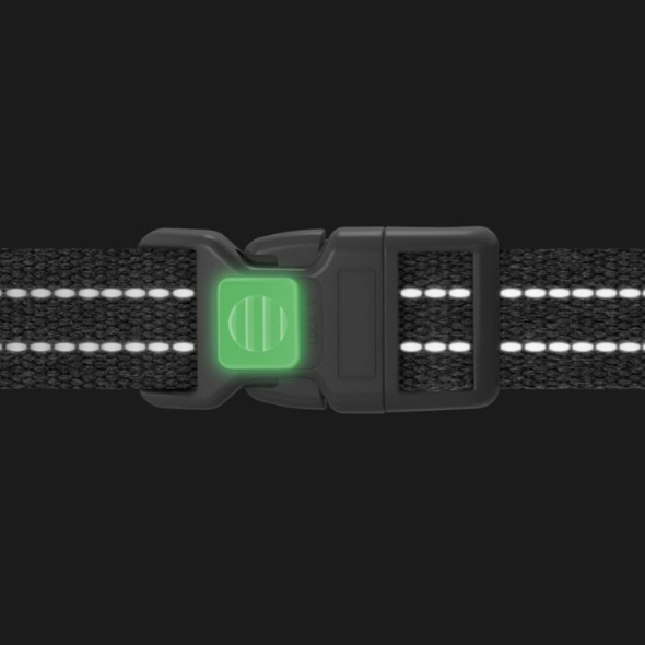 WAUDOG Шлея для собак Re-cotton з QR паспортом, відновлена бавовна, пластикова пряжка, L, сіра - 2