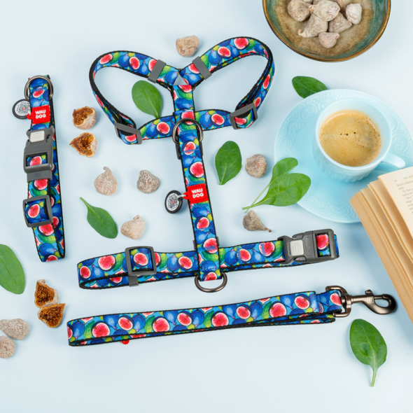 WAUDOG Нашийник для собак нейлоновий з QR паспортом, "Інжир", пластиковий фастекс, М, ширина 20 мм, довжина 28-40 см - 4