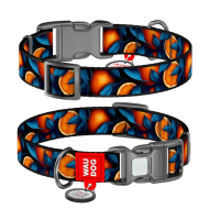 WAUDOG Нашийник для собак нейлоновий з QR паспортом, "Апельсини", пластиковий фастекс, L, ширина 25 мм, довжина 33-49 см