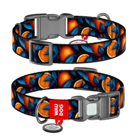 WAUDOG Нашийник для собак нейлоновий з QR паспортом, "Апельсини", пластиковий фастекс, L, ширина 25 мм, довжина 33-49 см