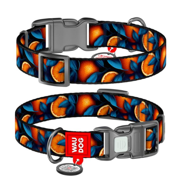 WAUDOG Нашийник для собак нейлоновий з QR паспортом, "Апельсини", пластиковий фастекс, L, ширина 25 мм, довжина 33-49 см