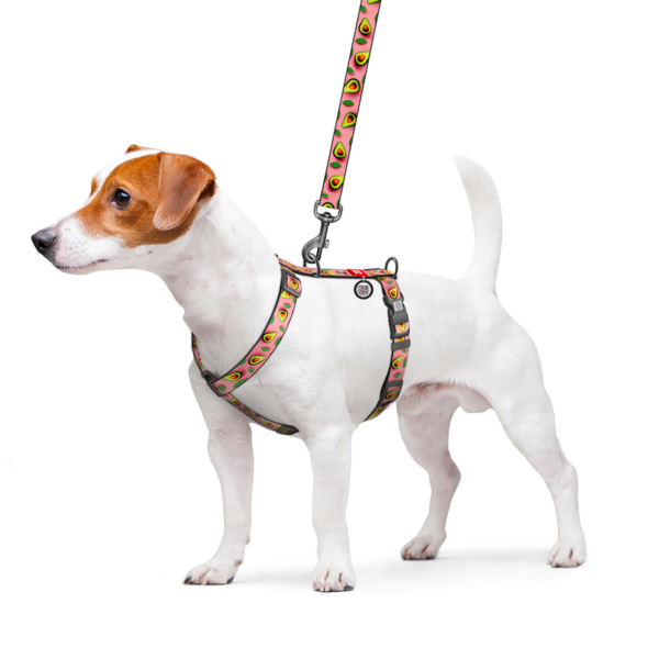 WAUDOG Шлея для собак нейлонова з QR паспортом, "Авокадо на рожевому", пластиковий фастекс, M - 2