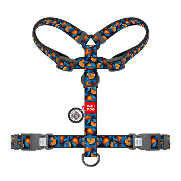 WAUDOG Шлея для собак нейлонова з QR паспортом, "Апельсини", пластиковий фастекс, S - 1