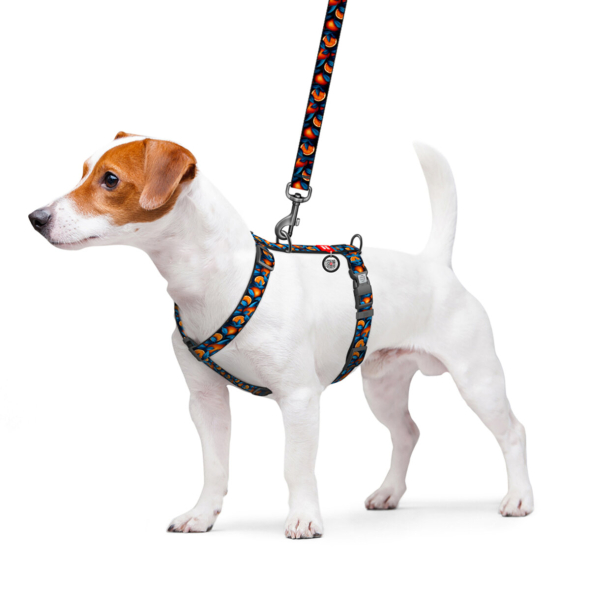 WAUDOG Шлея для собак нейлонова з QR паспортом, "Апельсини", пластиковий фастекс, S - 2