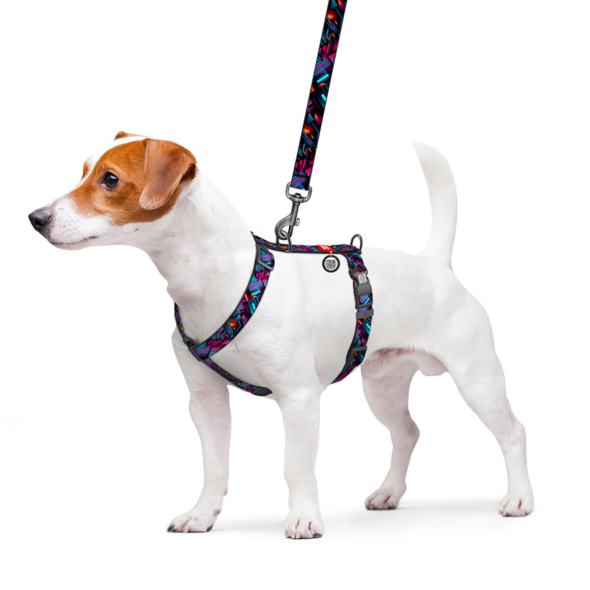 WAUDOG Шлея для собак нейлонова з QR паспортом, "Нескінченні світи", пластиковий фастекс, L - 2