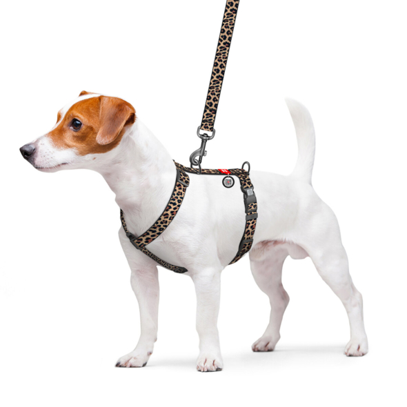 WAUDOG Шлея для собак нейлонова з QR паспортом, "Леопард", пластиковий фастекс, L - 2
