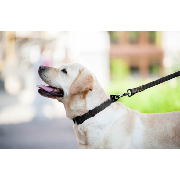 Evolutor Повідець для собак надміцний, XL, ширина 25 мм, довжина 2,1 м, чорний - 2