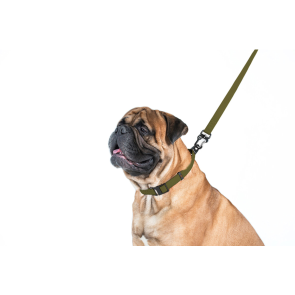 Evolutor Повідець для собак надміцний, XL, ширина 25 мм, довжина 2,1 м, хакі - 2
