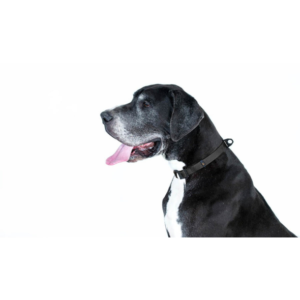 Evolutor Нашийник для собак регульований, універсальний розмір, ширина 25 мм, довжина 25-70 см, чорний - 3