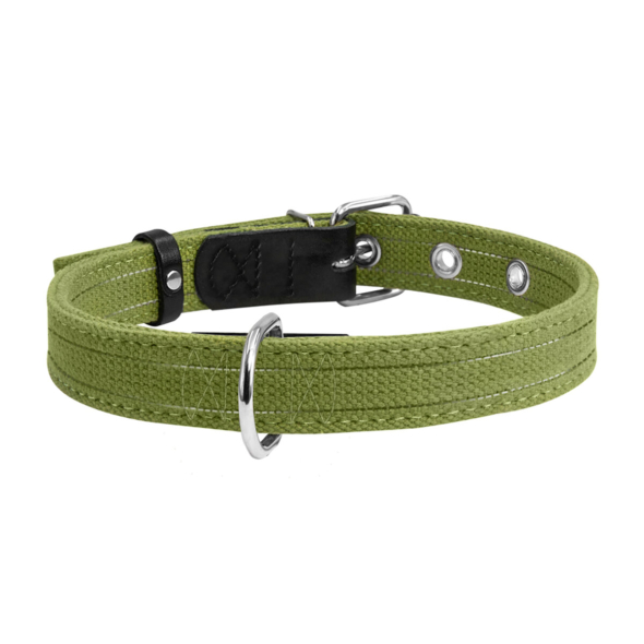 Collar Нашийник для собак бавовняна тасьма брезент подвійний, S, ширина 20 мм, довжина 31-41 см, зелений - 1
