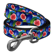 WAUDOG Повідець для собак нейлоновий "Інжир", M, ширина 20 мм, довжина 2 м