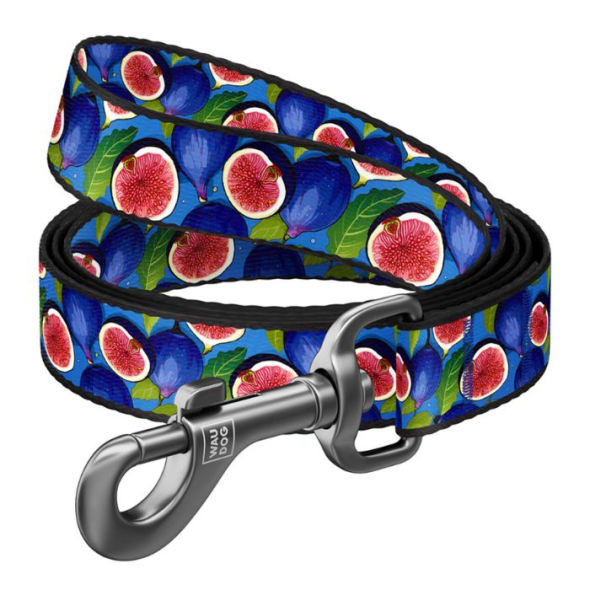 WAUDOG Повідець для собак нейлоновий "Інжир", M, ширина 20 мм, довжина 2 м