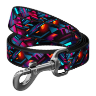 WAUDOG Повідець для собак нейлоновий "Нескінченні світи", M, ширина 20 мм, довжина 2 м
