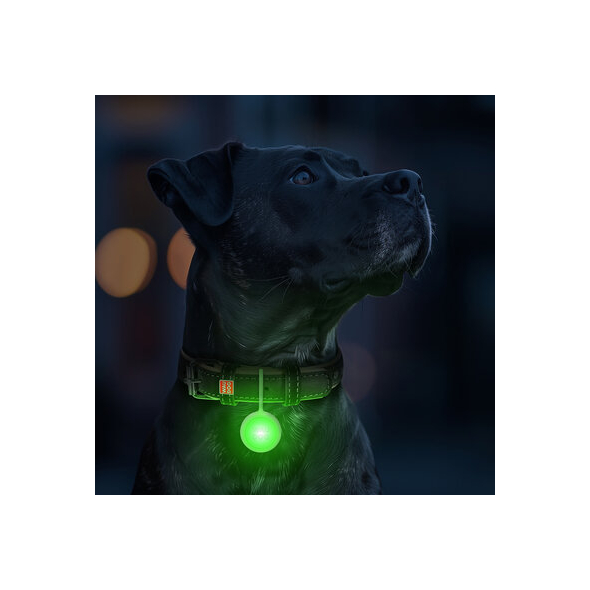 WAUDOG Ліхтарик-брелок для собак і котів з LED-підсвічуванням, Type-C, Ø 37 мм - 2