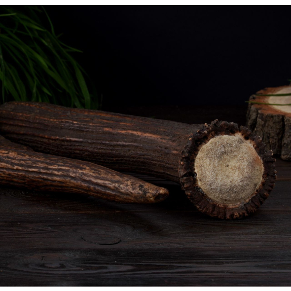 DogsRogs Оленячі роги L для собак середніх та великих порід, середньої твердості, 30 см - 1