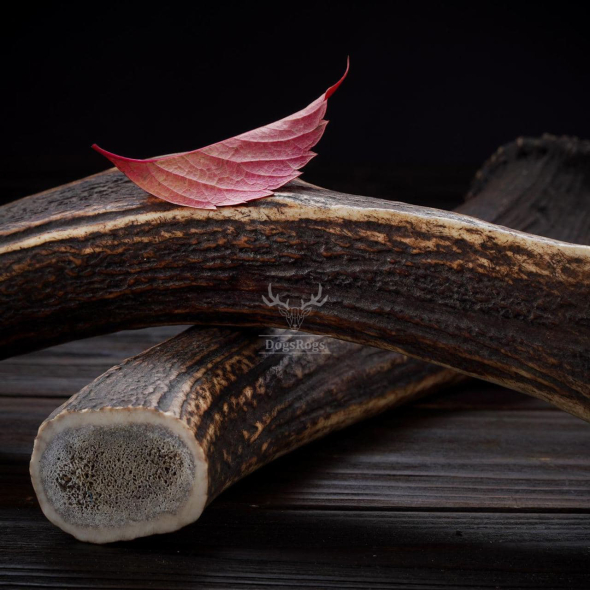 DogsRogs Оленячі роги L для собак середніх та великих порід, середньої твердості, 30 см - 5